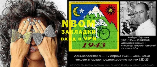 дурь Каменка