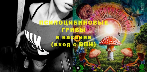 дурь Каменка