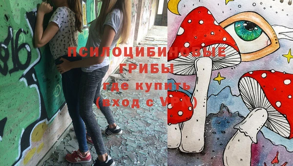 дурь Каменка