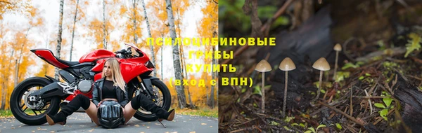 PSILOCYBIN Чердынь