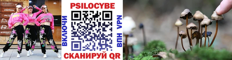 Галлюциногенные грибы Psilocybine cubensis Купить где Новоуральск